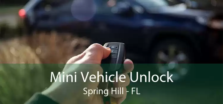 Mini Vehicle Unlock Spring Hill - FL