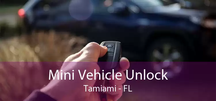 Mini Vehicle Unlock Tamiami - FL