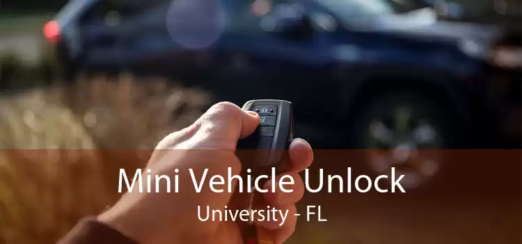Mini Vehicle Unlock University - FL