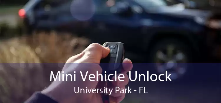 Mini Vehicle Unlock University Park - FL