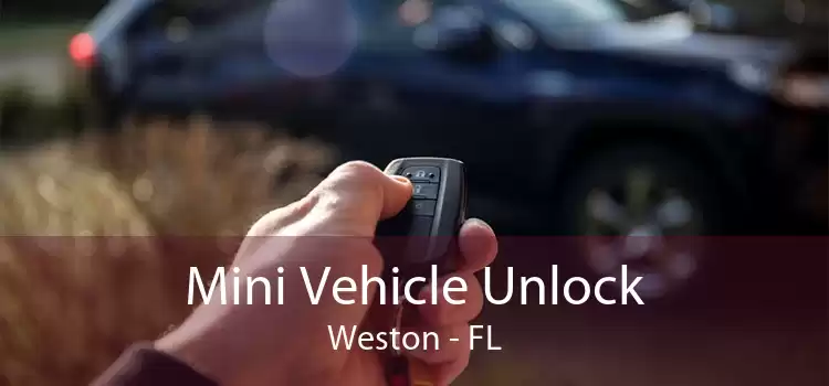 Mini Vehicle Unlock Weston - FL