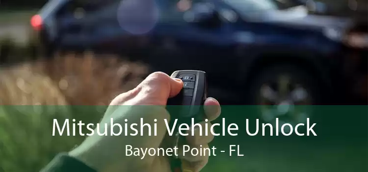 Mitsubishi Vehicle Unlock Bayonet Point - FL
