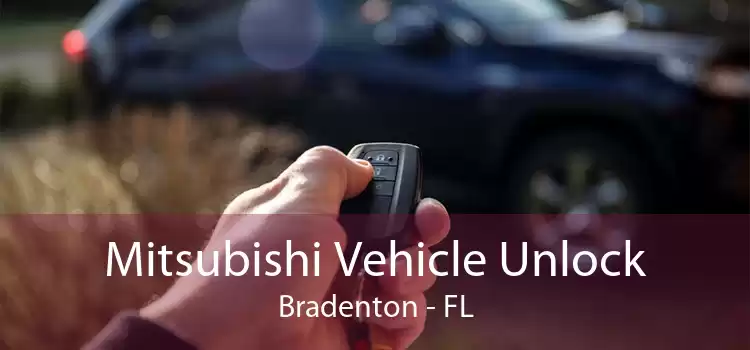 Mitsubishi Vehicle Unlock Bradenton - FL