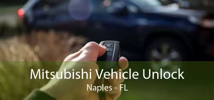Mitsubishi Vehicle Unlock Naples - FL