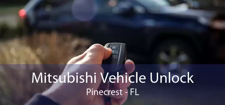 Mitsubishi Vehicle Unlock Pinecrest - FL