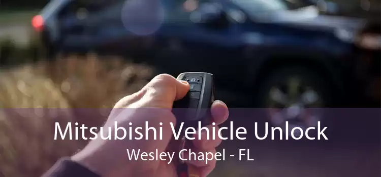 Mitsubishi Vehicle Unlock Wesley Chapel - FL