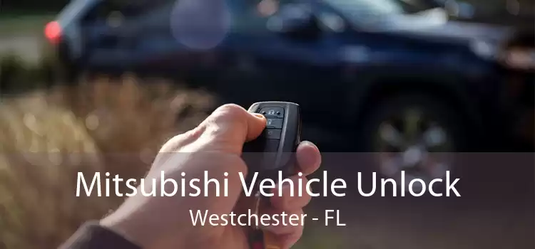 Mitsubishi Vehicle Unlock Westchester - FL