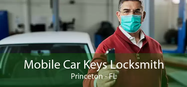 Mobile Car Keys Locksmith Princeton - FL