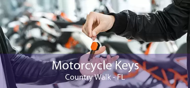 Motorcycle Keys Country Walk - FL
