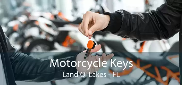 Motorcycle Keys Land O' Lakes - FL