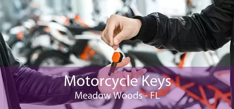 Motorcycle Keys Meadow Woods - FL