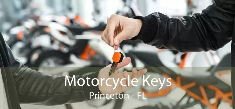 Motorcycle Keys Princeton - FL