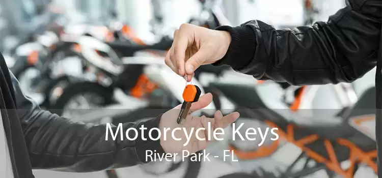 Motorcycle Keys River Park - FL