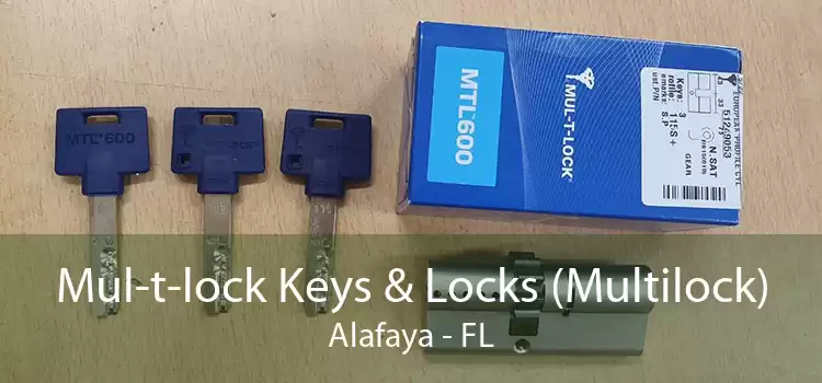 Mul-t-lock Keys & Locks (Multilock) Alafaya - FL