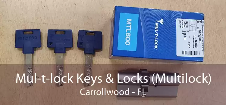 Mul-t-lock Keys & Locks (Multilock) Carrollwood - FL