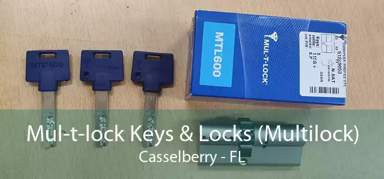Mul-t-lock Keys & Locks (Multilock) Casselberry - FL