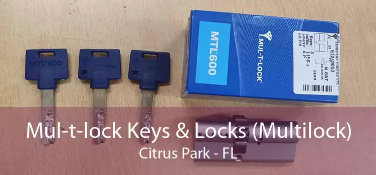 Mul-t-lock Keys & Locks (Multilock) Citrus Park - FL