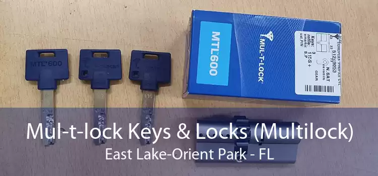 Mul-t-lock Keys & Locks (Multilock) East Lake-Orient Park - FL