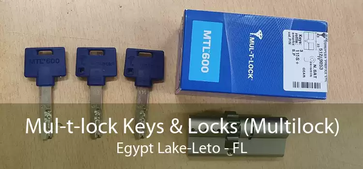 Mul-t-lock Keys & Locks (Multilock) Egypt Lake-Leto - FL