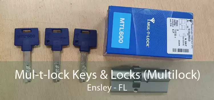 Mul-t-lock Keys & Locks (Multilock) Ensley - FL