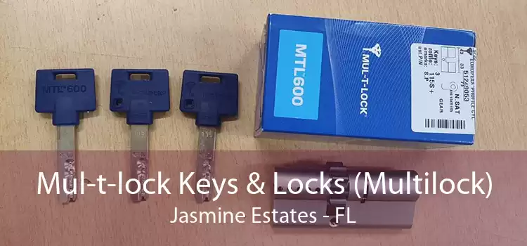 Mul-t-lock Keys & Locks (Multilock) Jasmine Estates - FL