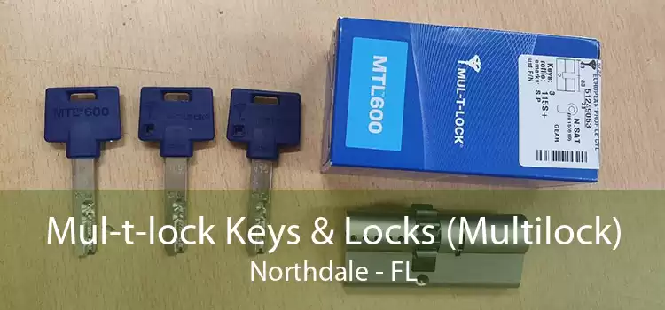 Mul-t-lock Keys & Locks (Multilock) Northdale - FL