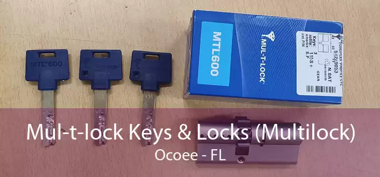 Mul-t-lock Keys & Locks (Multilock) Ocoee - FL