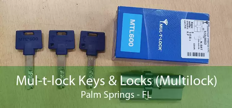 Mul-t-lock Keys & Locks (Multilock) Palm Springs - FL