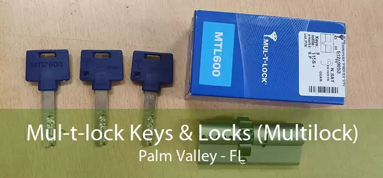 Mul-t-lock Keys & Locks (Multilock) Palm Valley - FL