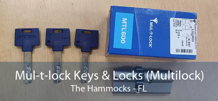 Mul-t-lock Keys & Locks (Multilock) The Hammocks - FL