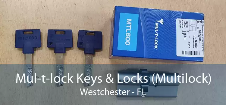 Mul-t-lock Keys & Locks (Multilock) Westchester - FL
