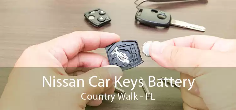 Nissan Car Keys Battery Country Walk - FL