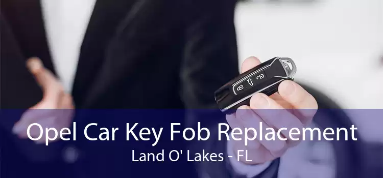 Opel Car Key Fob Replacement Land O' Lakes - FL