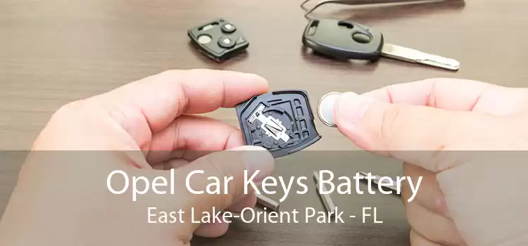 Opel Car Keys Battery East Lake-Orient Park - FL