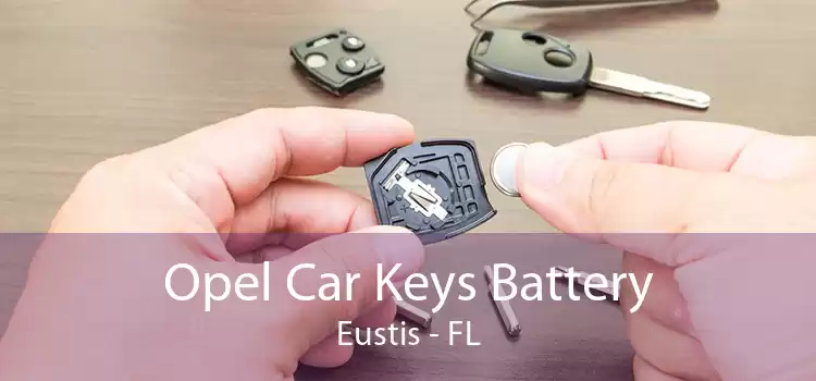 Opel Car Keys Battery Eustis - FL