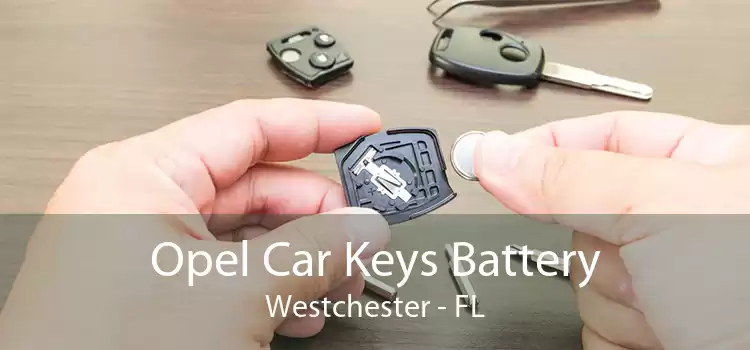 Opel Car Keys Battery Westchester - FL