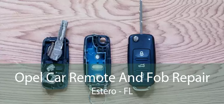 Opel Car Remote And Fob Repair Estero - FL