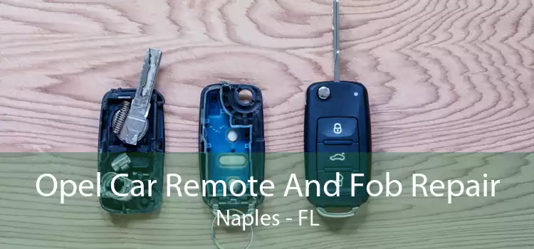 Opel Car Remote And Fob Repair Naples - FL