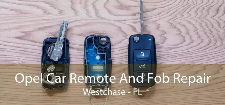 Opel Car Remote And Fob Repair Westchase - FL