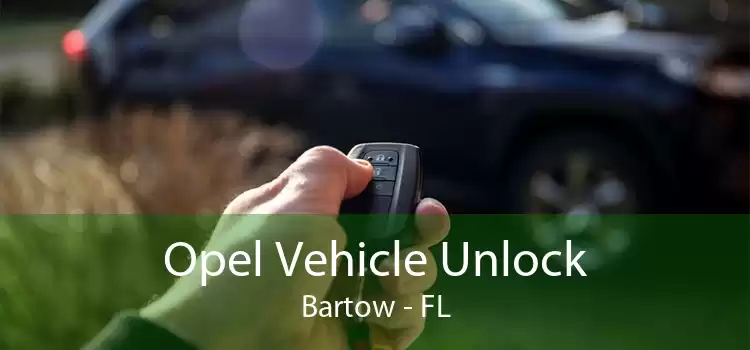 Opel Vehicle Unlock Bartow - FL