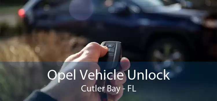 Opel Vehicle Unlock Cutler Bay - FL