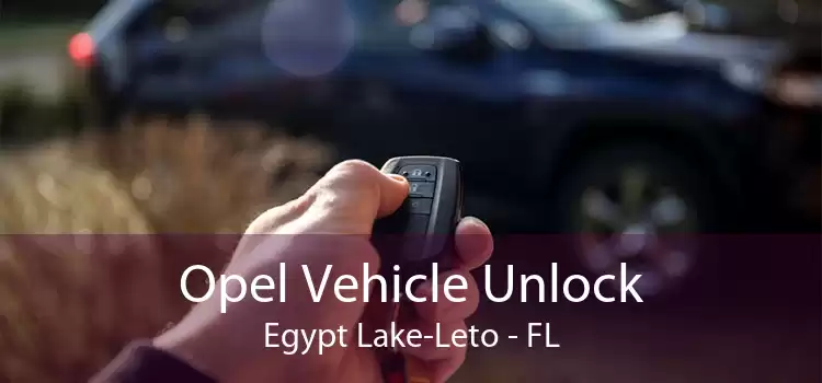 Opel Vehicle Unlock Egypt Lake-Leto - FL