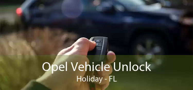 Opel Vehicle Unlock Holiday - FL