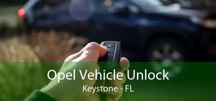 Opel Vehicle Unlock Keystone - FL
