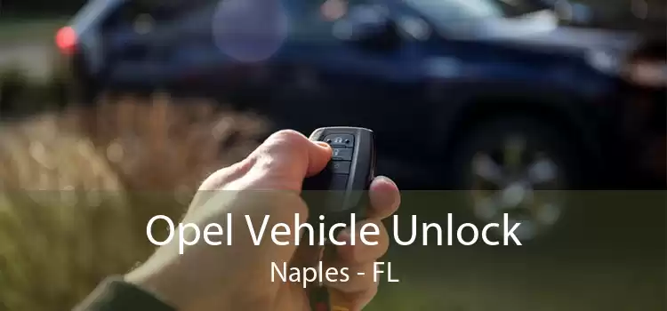 Opel Vehicle Unlock Naples - FL