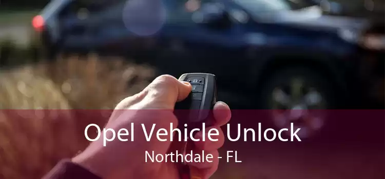 Opel Vehicle Unlock Northdale - FL