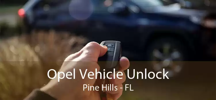 Opel Vehicle Unlock Pine Hills - FL