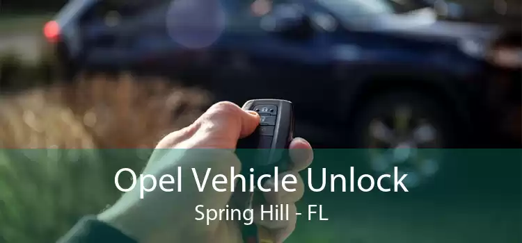 Opel Vehicle Unlock Spring Hill - FL