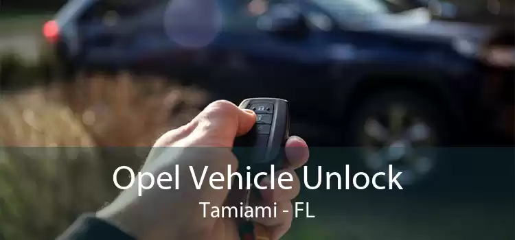 Opel Vehicle Unlock Tamiami - FL