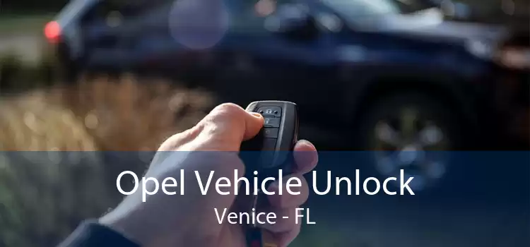 Opel Vehicle Unlock Venice - FL
